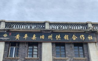 黄平非物质文化遗产现状（黄平县非遗文化现状如何）