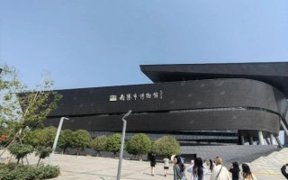 南召非物质文化遗产（南召有哪些冷门非遗值得新手入门了解）