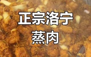 洛宁非物质文化遗产蒸肉（洛宁非物质文化遗产蒸肉怎么做）