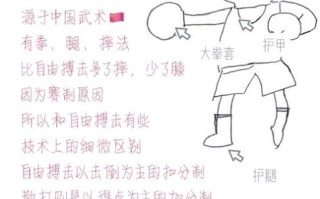 非物质文化遗产拳击（非物质文化遗产拳击怎么学）