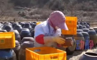 韩国世界非物质文化遗产（韩国世界非物质文化遗产有哪些）