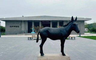 毛驴非物质文化遗产（毛驴非物质文化遗产是第几项）