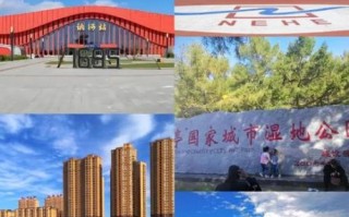 讷河市非物质文化遗产（讷河市非遗有哪些？新名单深度解读）