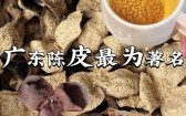 非物质文化遗产广东陈皮（广东非遗陈皮怎么保存）