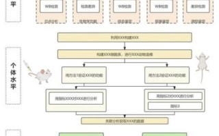中国量子计算机技术路线（中国量子计算机技术路线怎么选？三大主流方案对比）