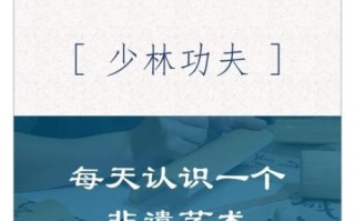 非物质武术文化遗产（如何学习非物质文化遗产武术）