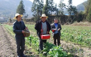 青川的非物质文化遗产（青川川北薅草锣鼓完整版哪里看）