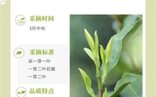 金山时雨非物质文化遗产（金山时雨非遗技艺是什么茶？）