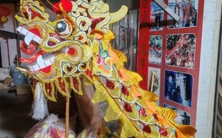 铜梁非物质文化遗产（铜梁龙灯制作技艺怎么学）