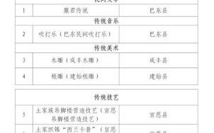 其他非物质文化遗产名录（其他非遗名录有哪些典型项目）