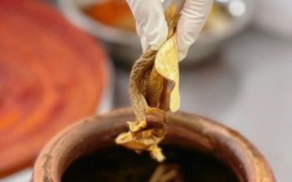 灰汤鸭 非物质文化遗产（灰汤鸭非遗为什么出名）