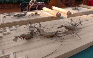 汤泉非物质文化遗产（汤泉非物质文化遗产有哪些）