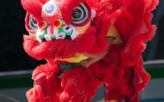 石龙醒狮非物质文化遗产（石龙醒狮非遗技艺适合小学生学吗）