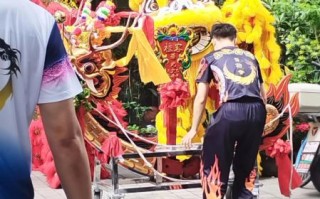 龙游非物质文化遗产活动（龙游非遗活动有哪些值得加入）