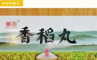 香稻丸非物质文化遗产（香稻丸非遗技艺如何入门？）