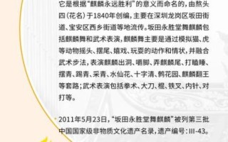 决战非物质文化遗产（决战非物质文化遗产比赛流程详解）