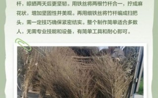 非物质文化遗产扫把（非遗扫把制作工艺流程）