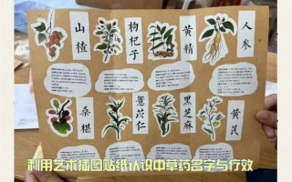 中药 非物质文化遗产（中药非遗有哪些项目值得收藏）