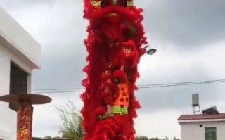 郑州舞狮非物质文化遗产（郑州非遗舞狮在哪里看最正宗）