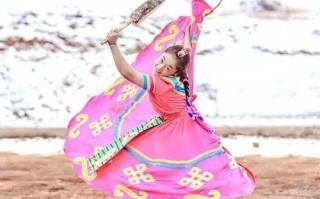 热巴非物质文化遗产照片（热巴舞非遗照片高清合集在哪找？答案：国家非遗数字博物馆、新华社图库、西藏文旅微博。）