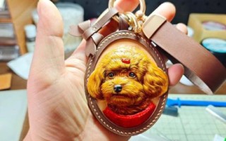 非物质文化遗产皮雕皮艺（非遗皮雕入门零基础到独立作品全攻略）