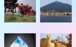 推荐枣阳非物质文化遗产（枣阳非遗一日游最佳路线）