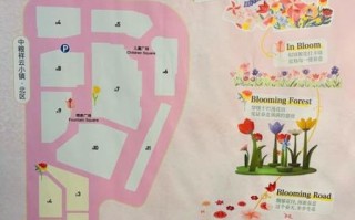 非物质文化遗产南郊（南郊非遗在哪看？最新打卡路线公开）