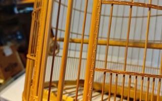 非物质文化遗产竹雕鸟笼（竹雕鸟笼怎么做？零基础入门全流程）