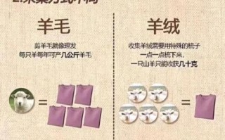 中午非物质文化遗产羊毛（羊毛织造技艺是非遗吗）