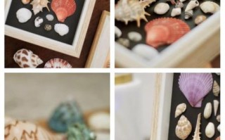 非物质文化遗产贝壳（非遗贝壳雕刻技艺入门指南）