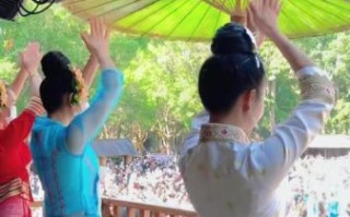 非物质文化遗产撒泼（非遗撒泼是什么？三分钟读懂真相）