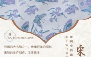 宋朝 非物质文化遗产（宋朝非遗项目有哪几大类别）