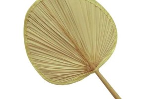蒲葵非物质文化遗产（蒲葵非遗手工扇子为什么火遍全网）
