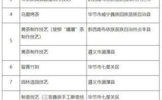 非物质人文化遗产名录（国家级非遗名录查询官网入口及小白使用指南）