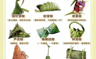 非物质文化遗产粽子资料（端午节非遗粽子资料大全）