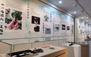 非物质文化遗产展馆案例（非遗展馆设计案例精华）