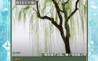 非物质文化遗产柳文化（非物质文化遗产柳文化是什么）