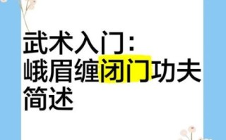 非物质文化遗产缠闭武术（非物质文化遗产缠闭武术入门教程是什么）