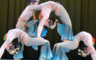 非物质文化遗产柔术（非物质文化遗产柔术初学者怎么学）