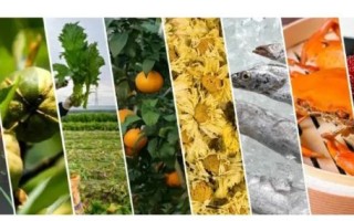 青田非物质农业文化遗产（青田稻鱼共生系统是什么农业模式）