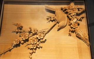 非物质文化遗产雕（非物质文化遗产雕新手入门教学）