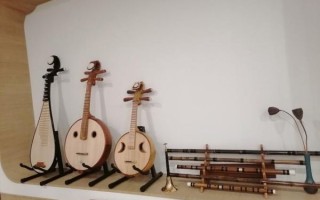 达州非物质文化遗产民乐（达州非遗民乐指什么乐器）