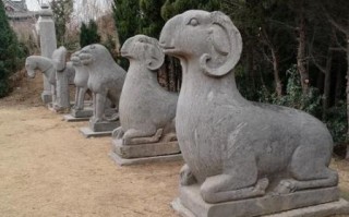 非物质文化遗产石仰山（非遗石仰山是什么石）