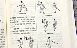 兰溪非物质文化遗产南拳（兰溪南拳非遗怎么学？入门路线实测）