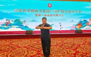 武术非物质文化遗产（武术非遗传承人申请需要什么条件）