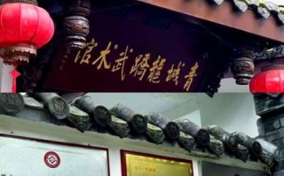 武术非物质文化遗产展示（武术非物质文化遗产展示馆参观攻略）