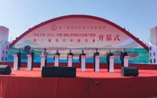 周口非物质文化遗产展（周口非遗展值得去吗）