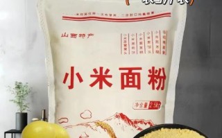 非物质文化遗产小米类（小米面非遗制作技艺新手入门）