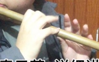 非物质文化遗产笛子视频（笛子入门教程非遗视频怎么选）