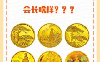 双非物质文化遗产纪念币（双非纪念币是什么意思）